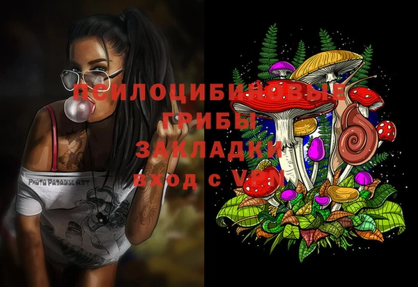 дживик Абинск