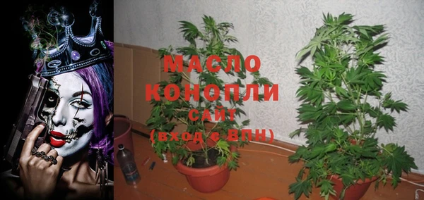 шишки Абаза