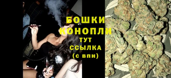 крисы Карпинск
