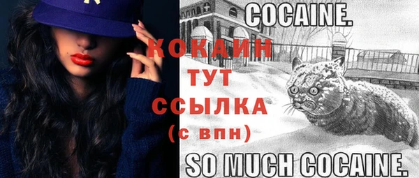шишки Абаза