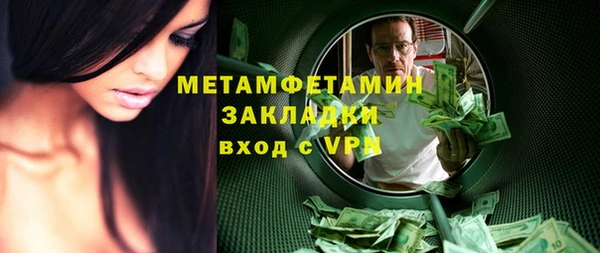 шишки Абаза