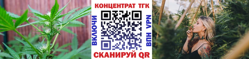 MEGA онион  Тарко-Сале  ТГК Wax  где можно купить наркотик 