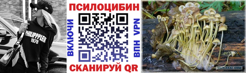Галлюциногенные грибы Psilocybe  Тарко-Сале 