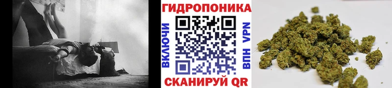 Канабис VHQ  Тарко-Сале 